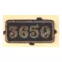 3650 GWR/BRCabside/Smokebox Numberplate